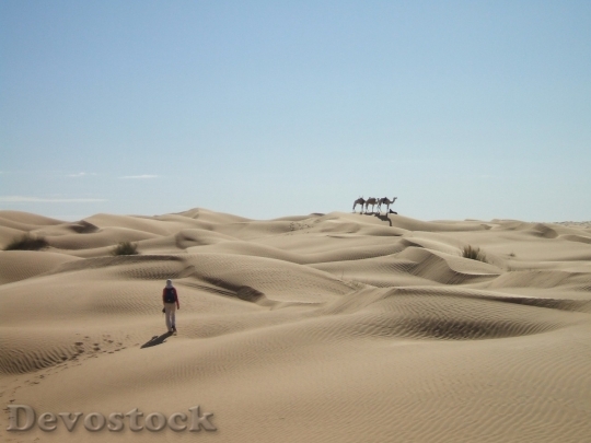 Devostock Desert beautiful image  (438)
