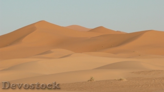 Devostock Desert beautiful image  (439)