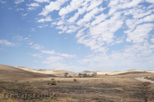 Devostock Desert beautiful image  (442)