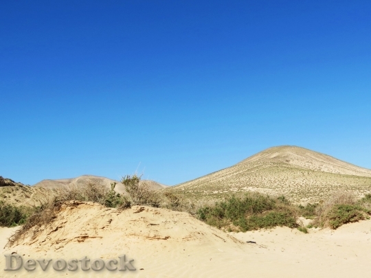Devostock Desert beautiful image  (447)