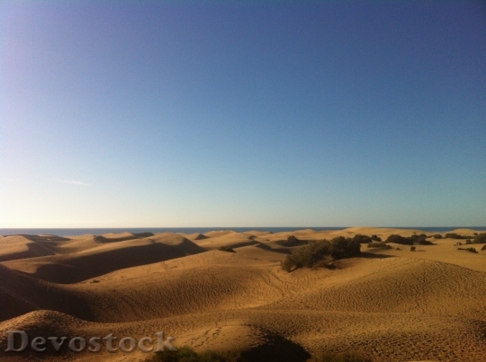 Devostock Desert beautiful image  (45)