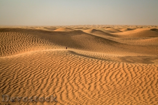 Devostock Desert beautiful image  (451)