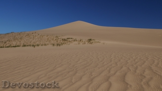 Devostock Desert beautiful image  (456)