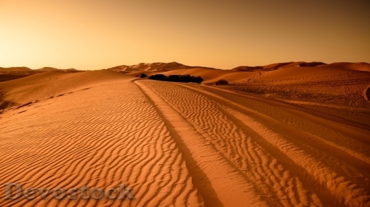 Devostock Desert beautiful image  (461)