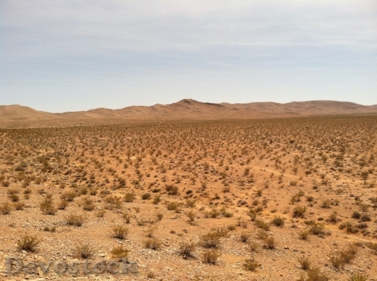Devostock Desert beautiful image  (462)
