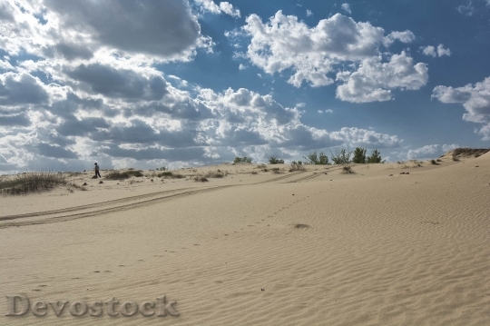 Devostock Desert beautiful image  (479)