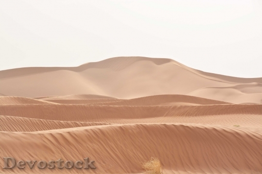 Devostock Desert beautiful image  (480)