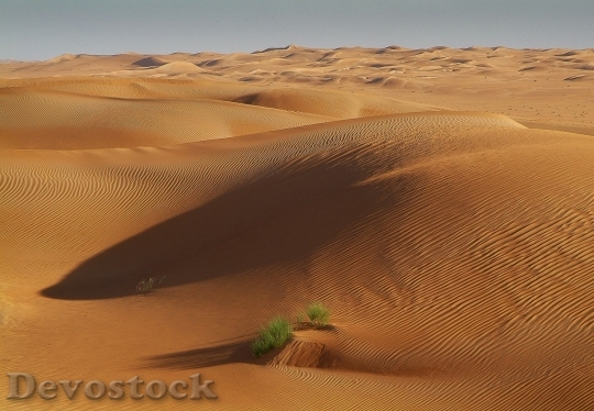 Devostock Desert beautiful image  (481)