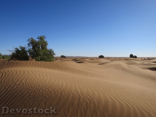 Devostock Desert beautiful image  (486)