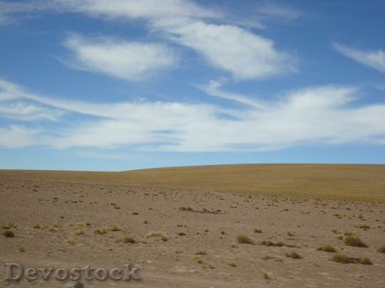Devostock Desert beautiful image  (495)