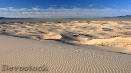 Devostock Desert beautiful image  (496)