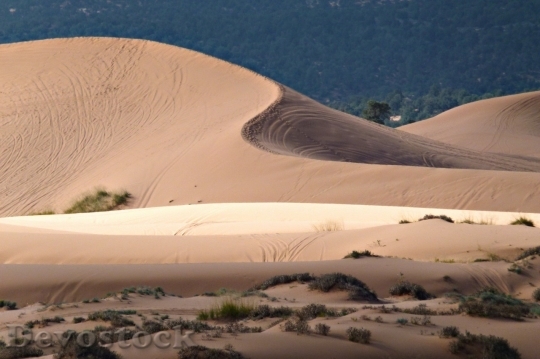 Devostock Desert beautiful image  (497)