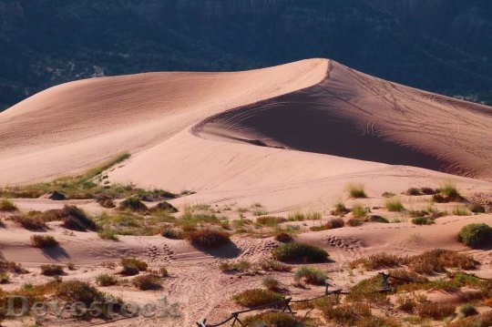 Devostock Desert beautiful image  (498)