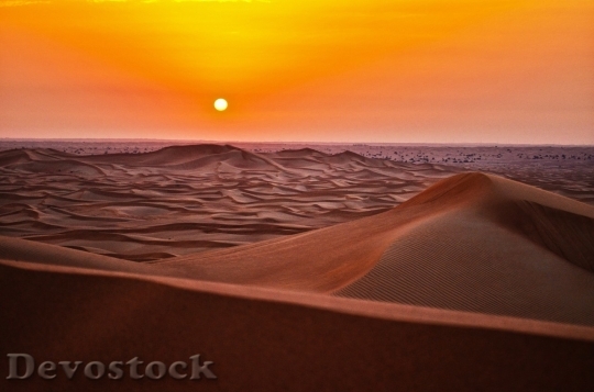 Devostock Desert beautiful image  (500)