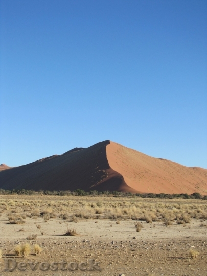 Devostock Desert beautiful image  (504)