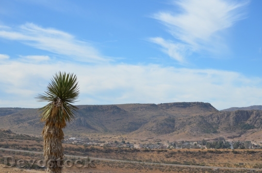 Devostock Desert beautiful image  (55)