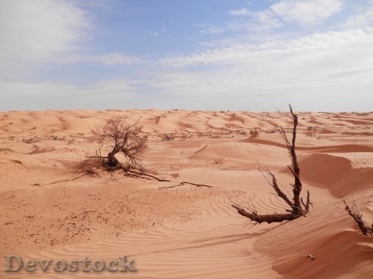 Devostock Desert beautiful image  (60)