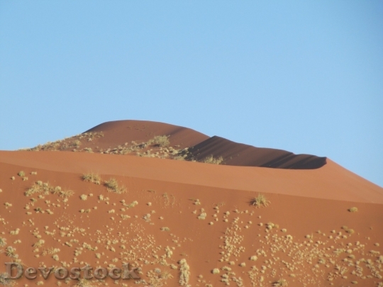 Devostock Desert beautiful image  (61)
