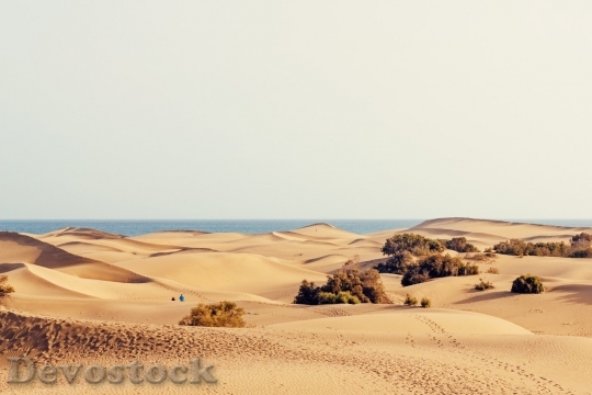 Devostock Desert beautiful image  (68)