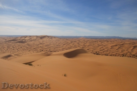 Devostock Desert beautiful image  (70)
