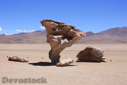 Devostock Desert beautiful image  (72)