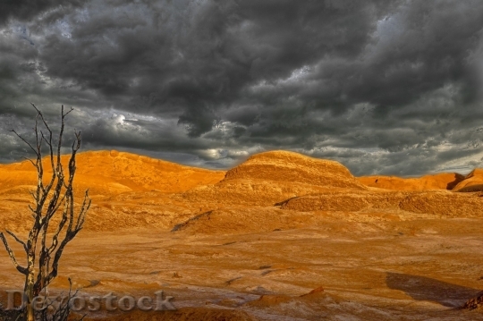 Devostock Desert beautiful image  (73)