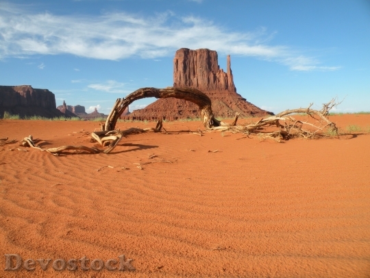 Devostock Desert beautiful image  (80)
