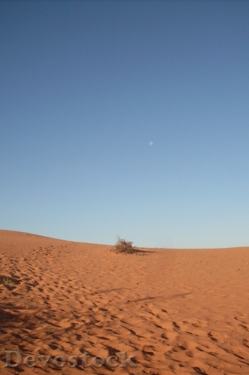 Devostock Desert beautiful image  (82)