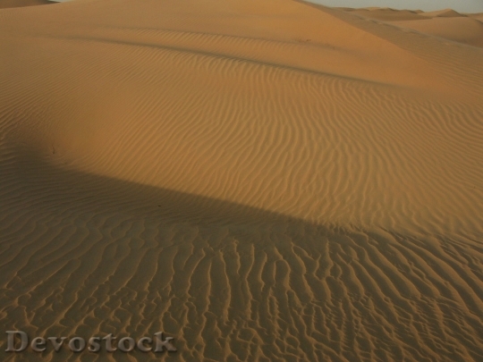 Devostock Desert beautiful image  (84)