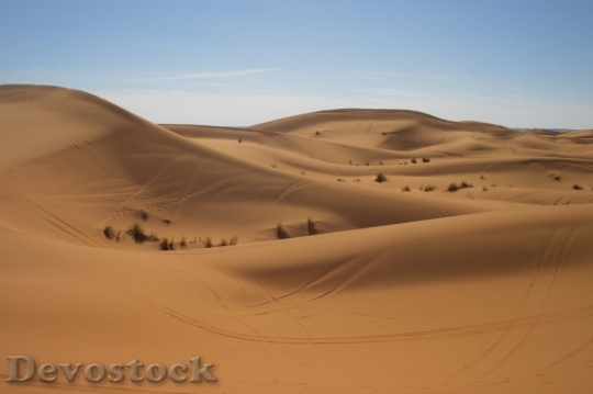 Devostock Desert beautiful image  (94)