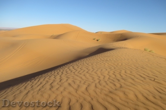 Devostock Desert beautiful image  (95)