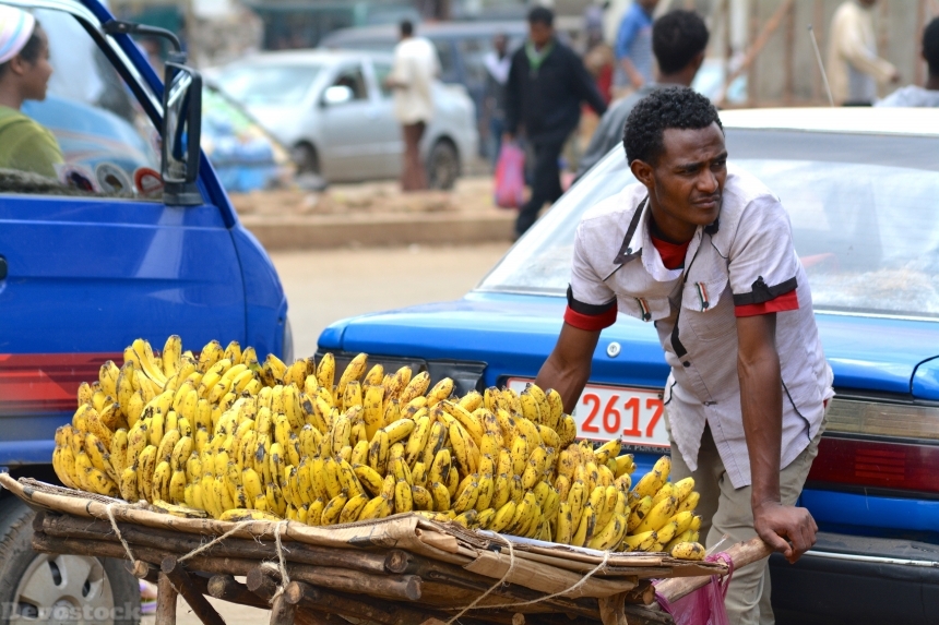 Devostock Africa Seller Bananas Fruit