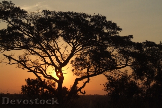 Devostock Africa Sunset Nature Sky