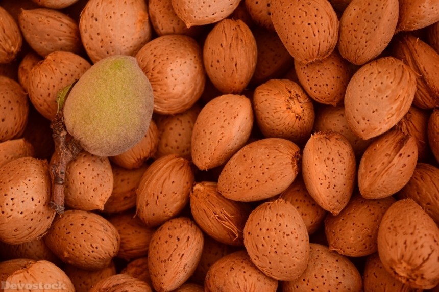 Devostock Almonds Background Shell Fruits