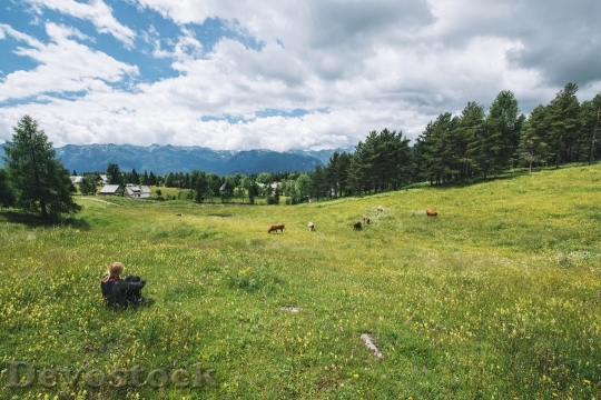 Devostock Alpine Pasture Cows Cattle