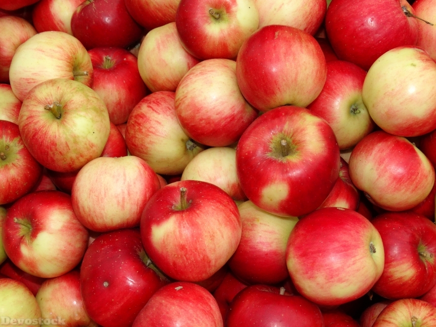 Devostock Apple Apple Bunch Fruits