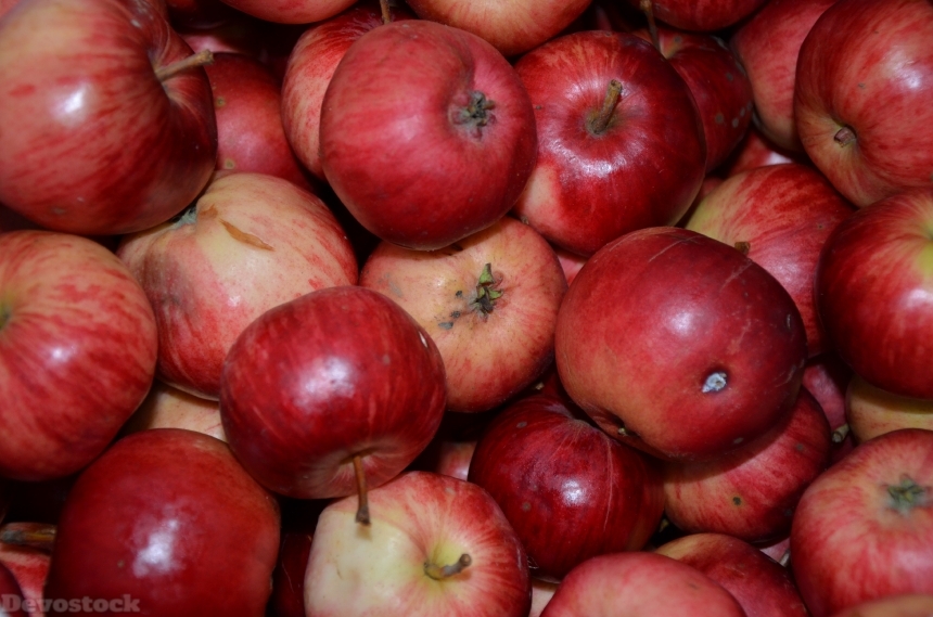 Devostock Apple Apples Fruits Red