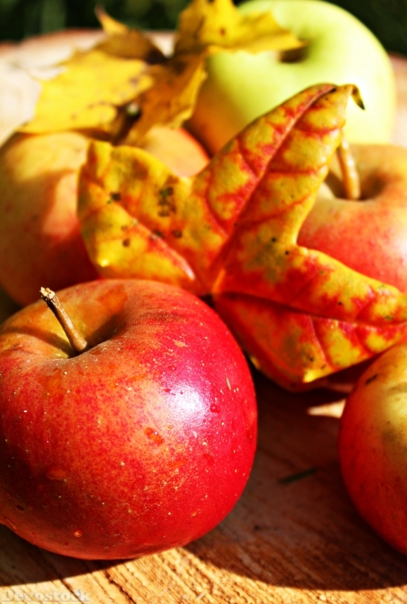 Devostock Apple Autumn Fruit 496982