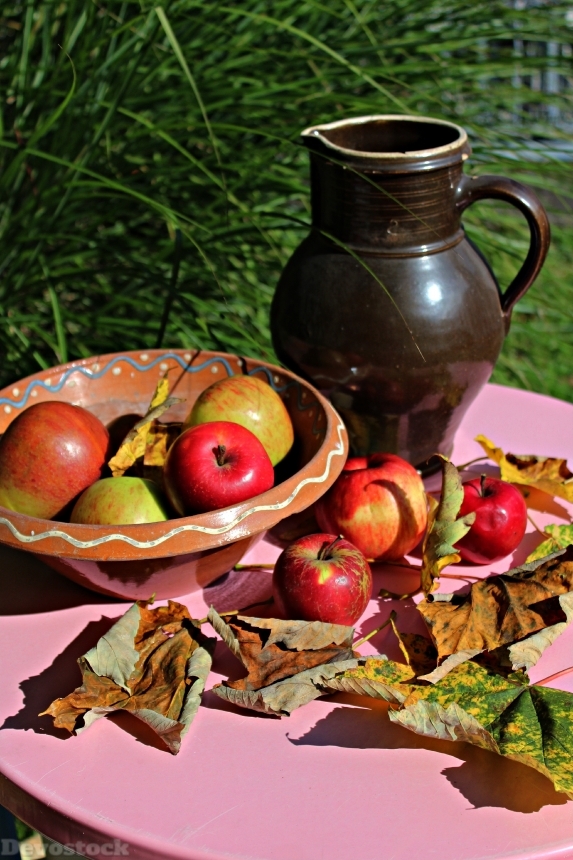 Devostock Apple Autumn Fruit Harvest