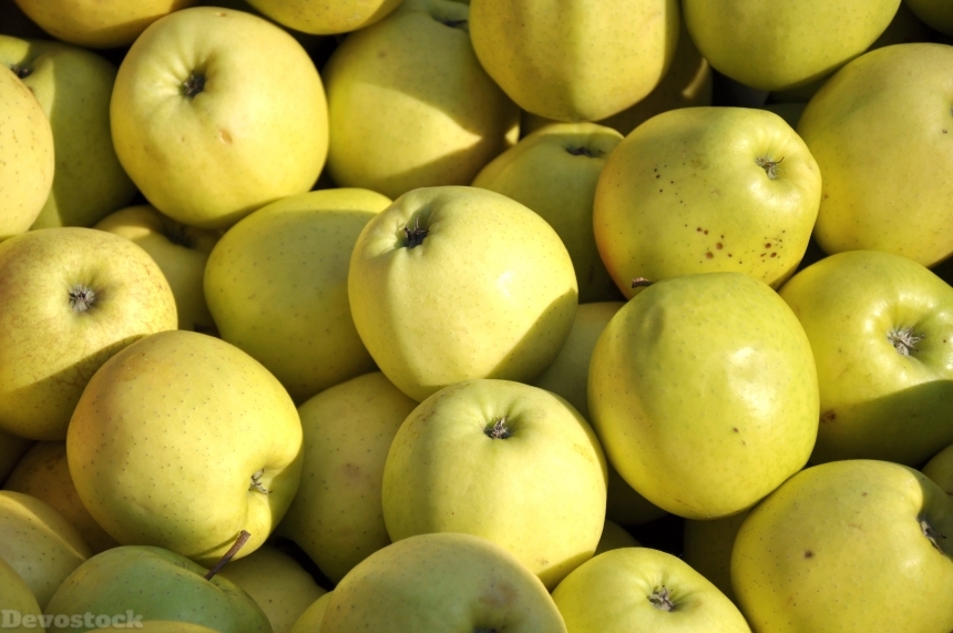 Devostock Apple Fruit Food 699997