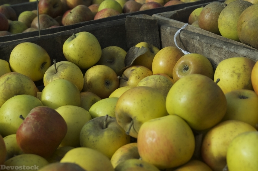Devostock Apple Fruit Food Green