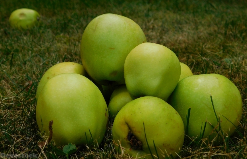Devostock Apple Fruit Fruits Obsthaufen