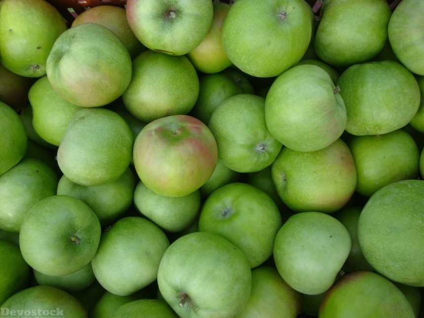 Devostock Apple Fruit Green 312892