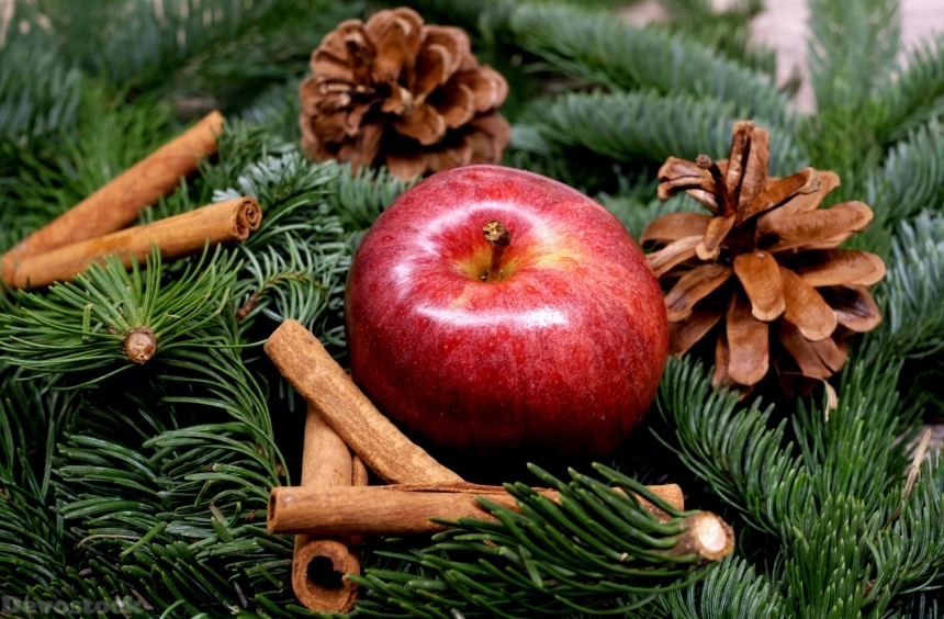 Devostock Apple Fruit Red Christmas