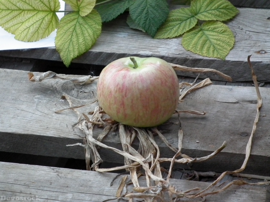 Devostock Apple Fruit Ripe Green