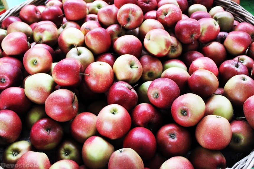 Devostock Apple Fruit Thanksgiving Autumn