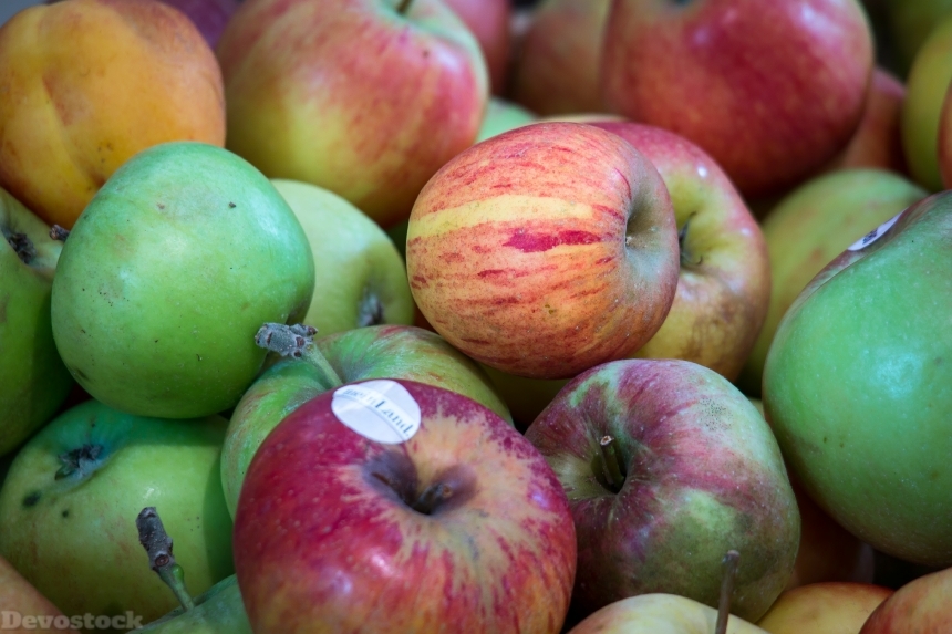Devostock Apple Fruit Thanksgiving Harvest