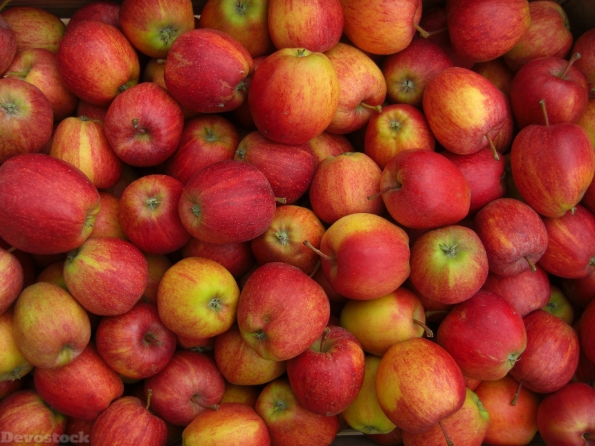 Devostock Apple Fruits Eat Healthy