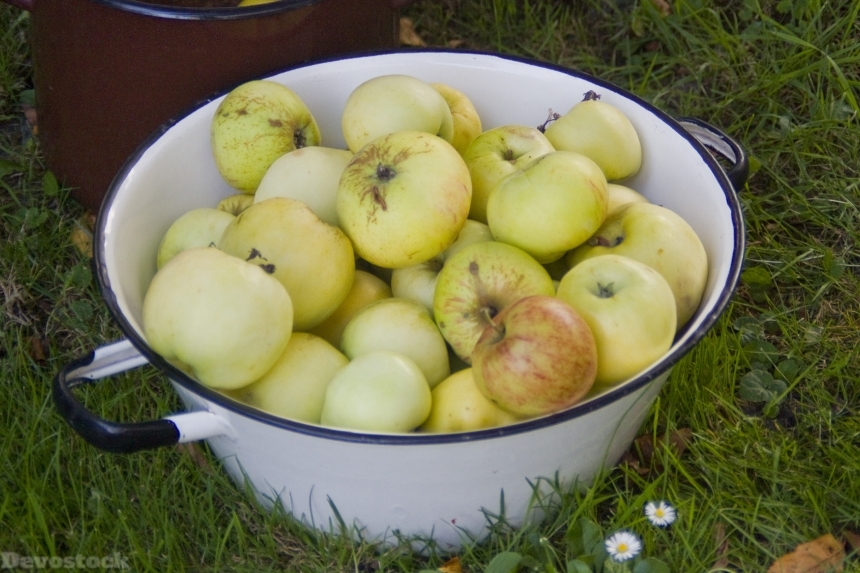 Devostock Apple Nature Garden Fruit