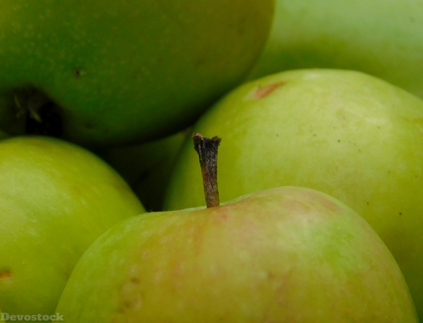Devostock Apple Obstfall Fruit Fruits